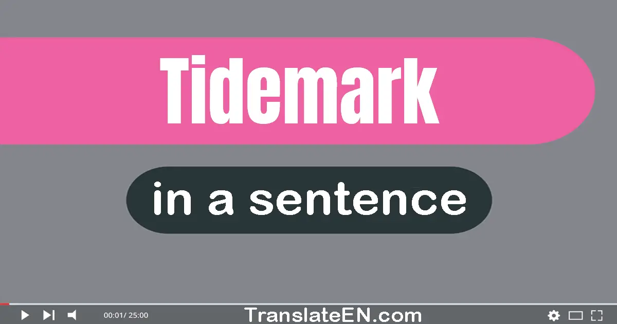 Use "tidemark" in a sentence | "tidemark" sentence examples