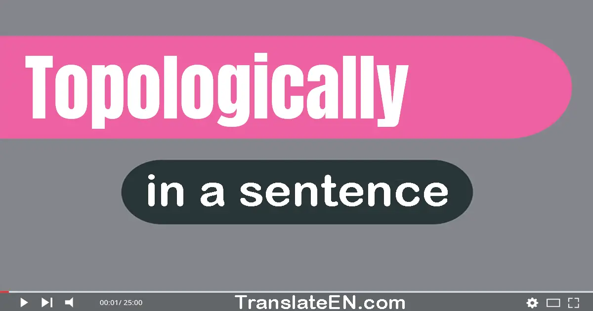 Use "topologically" in a sentence | "topologically" sentence examples