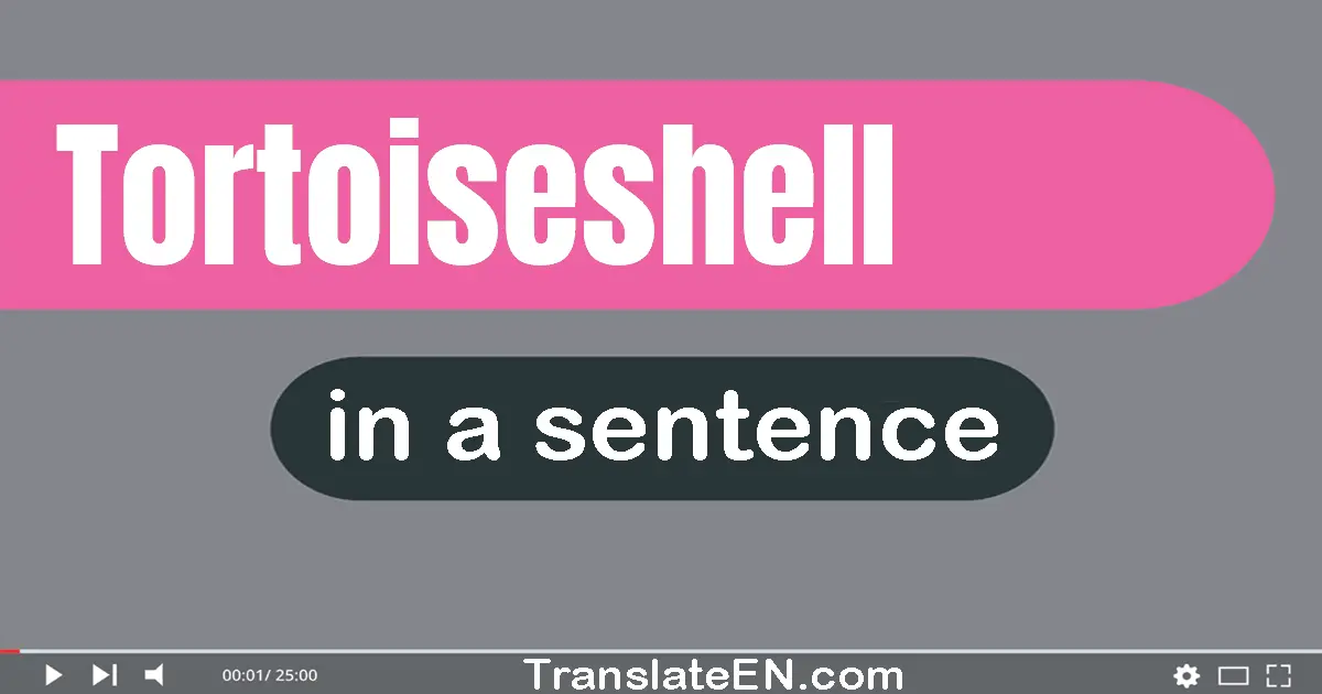 Tortoiseshell in a sentence