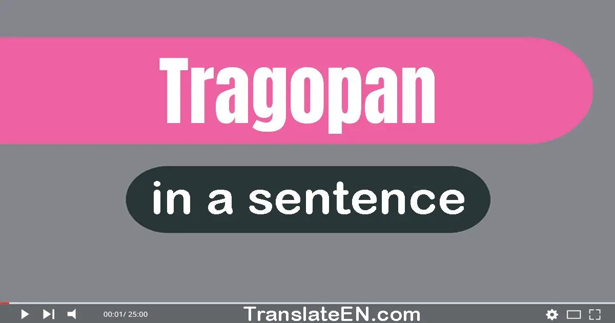 Tragopan in a sentence