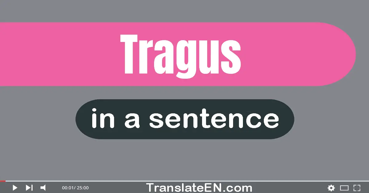 Tragus in a sentence