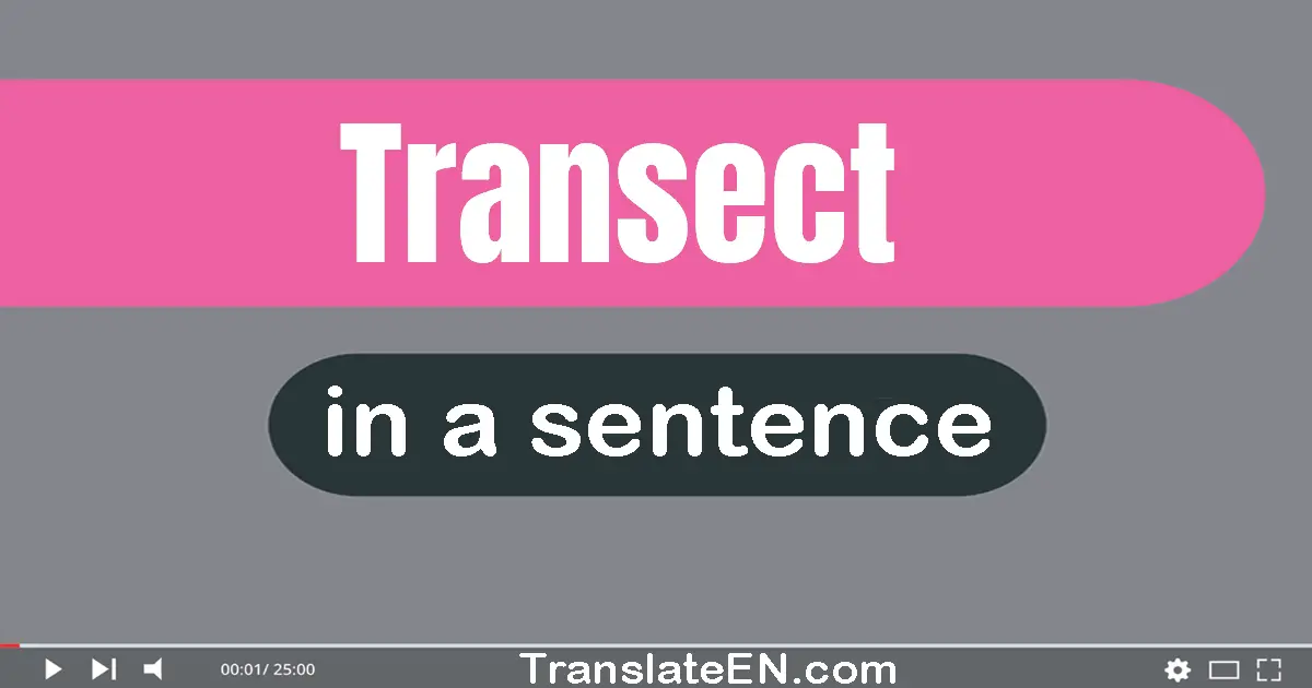 Transect in a sentence