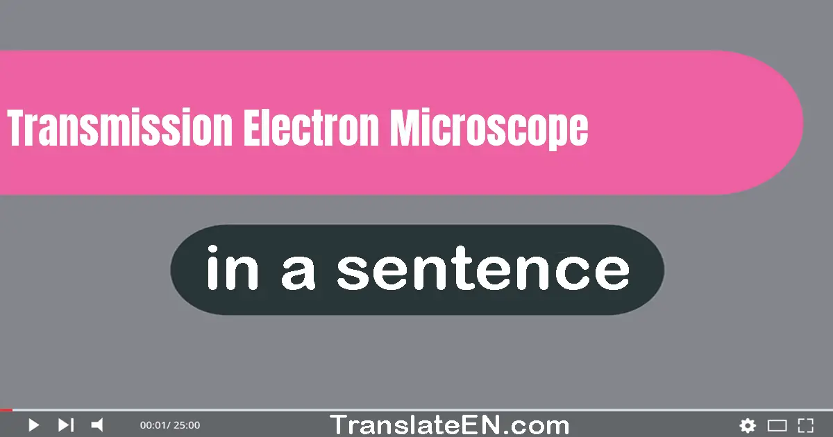 Transmission Electron Microscope in a sentence