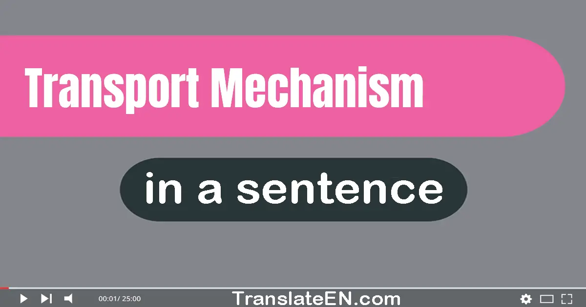 Transport Mechanism in a sentence