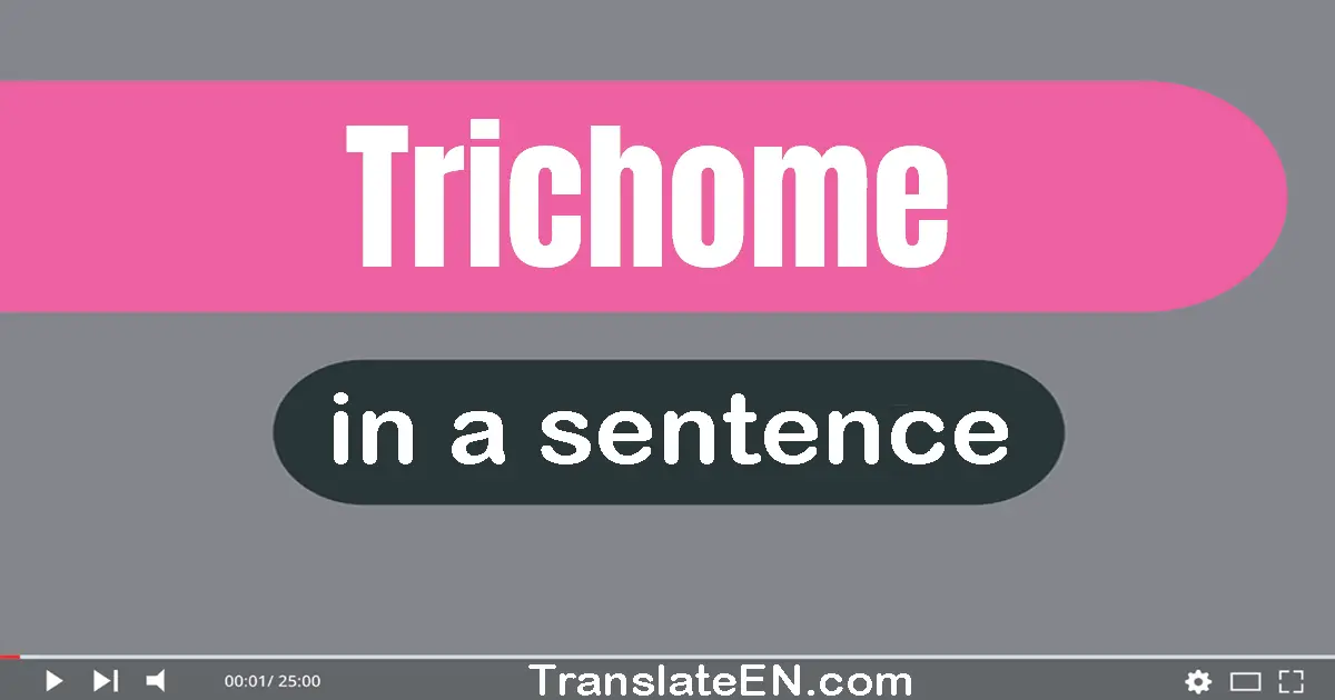 Trichome in a sentence