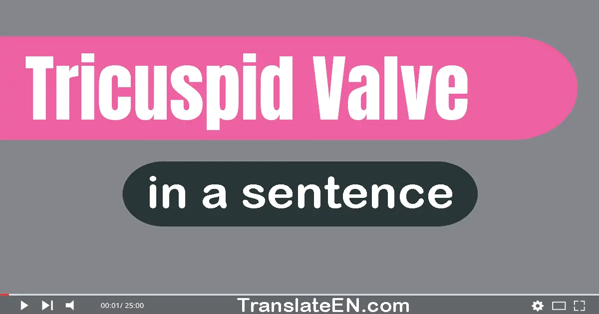 Tricuspid Valve in a sentence