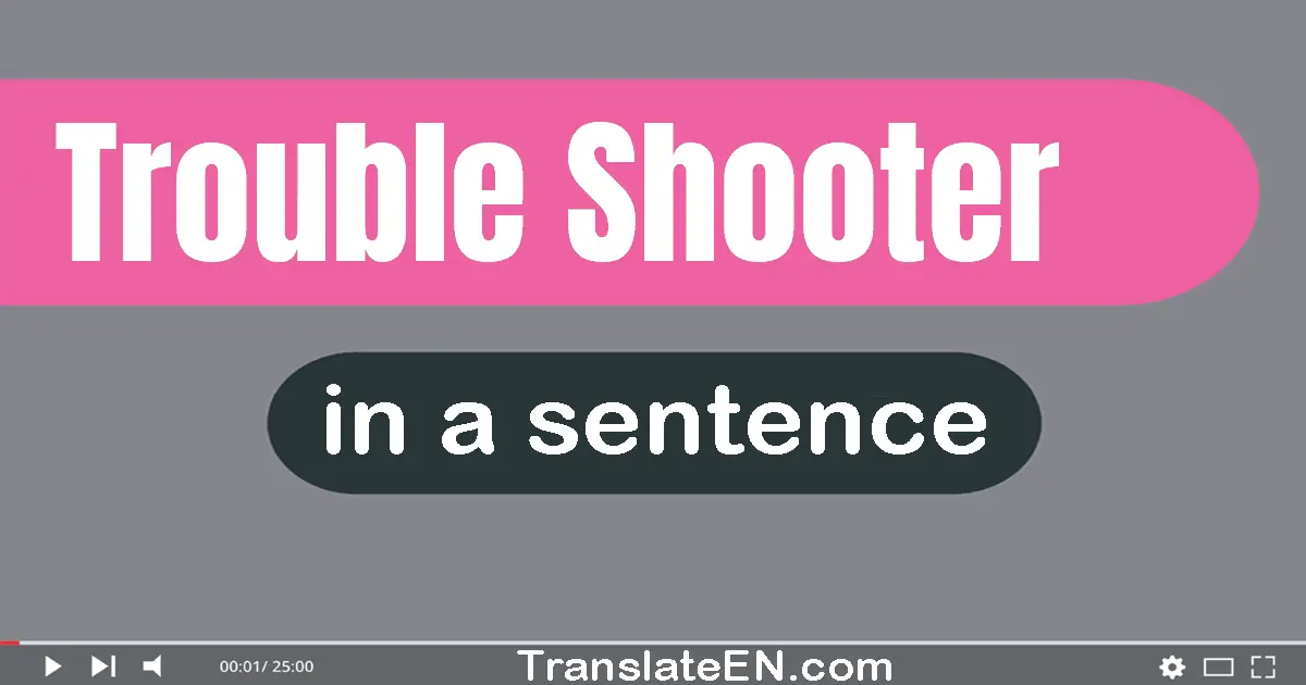 Trouble-shooter in a sentence