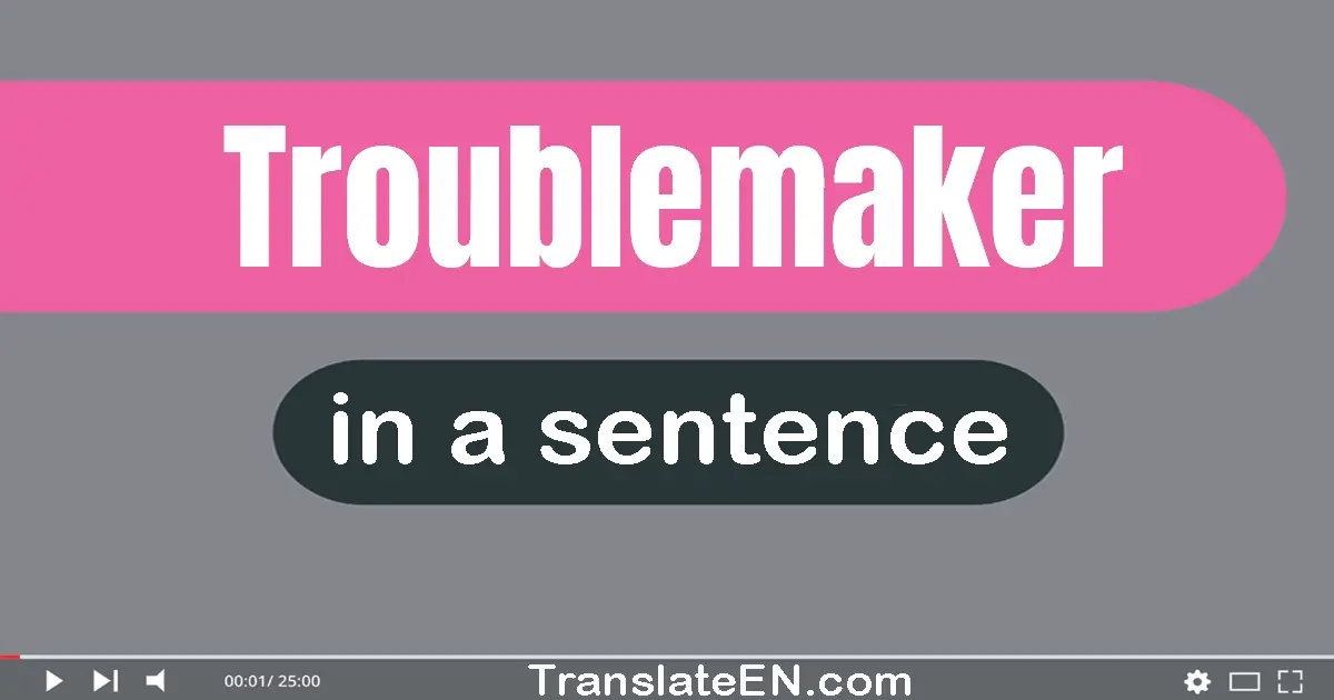 Troublemaker in a sentence