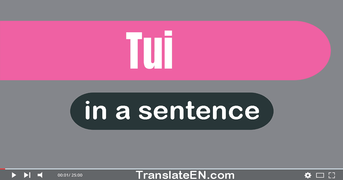 Use "tui" in a sentence | "tui" sentence examples
