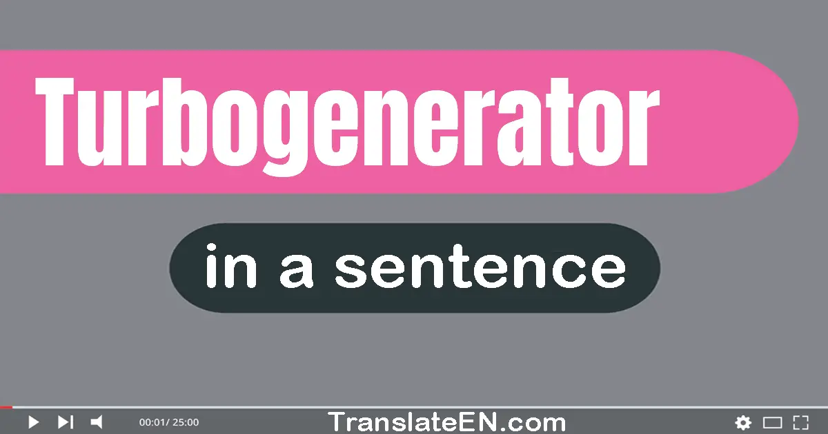 Turbogenerator in a sentence