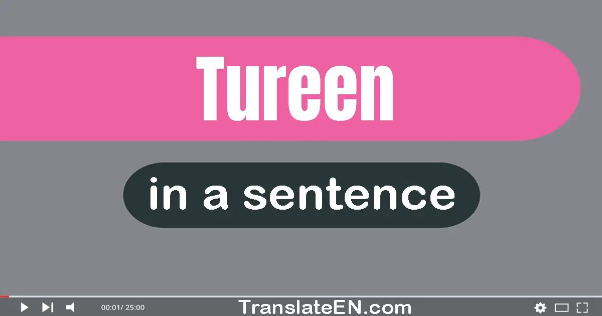 Tureen in a sentence