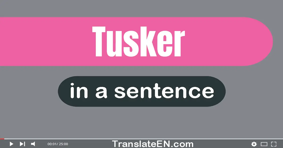 Use "tusker" in a sentence | "tusker" sentence examples