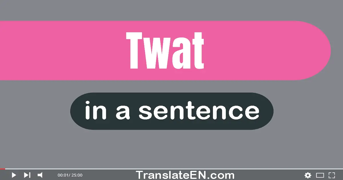 Twat in a sentence