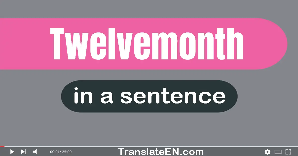 Twelvemonth in a sentence