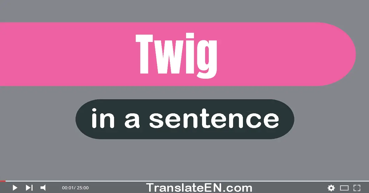 Use "twig" in a sentence | "twig" sentence examples