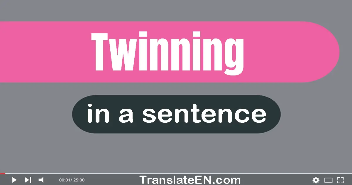 Use "twinning" in a sentence | "twinning" sentence examples