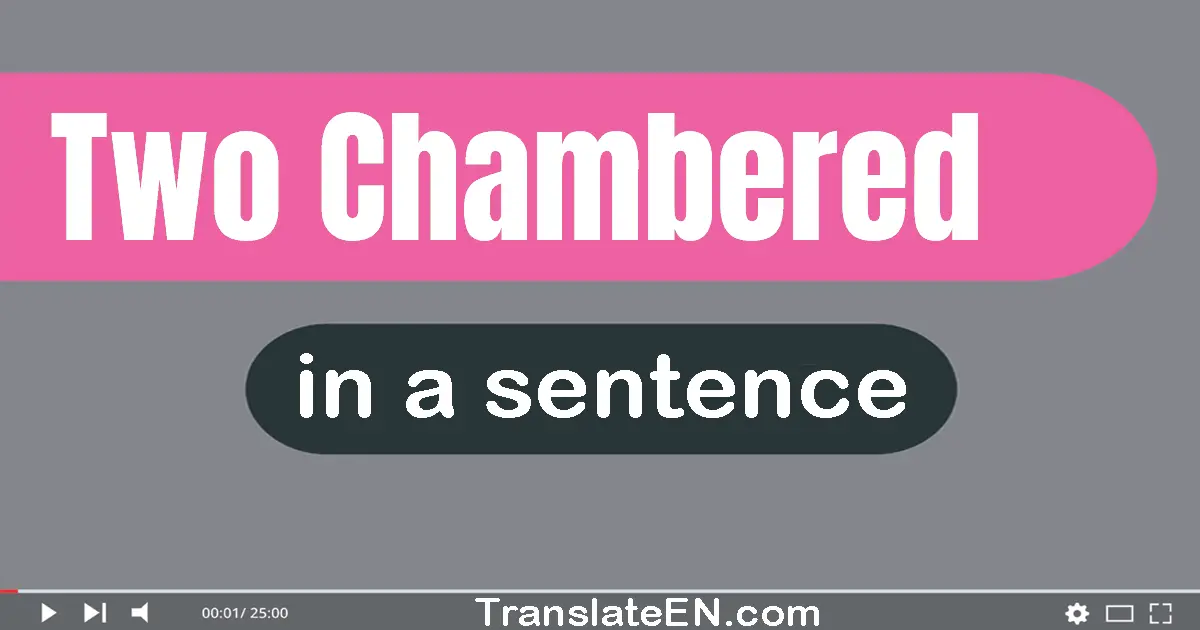 Two-chambered in a sentence