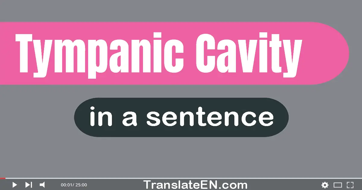 Tympanic Cavity in a sentence