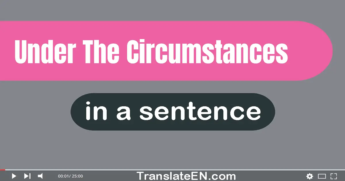 Under The Circumstances in a sentence