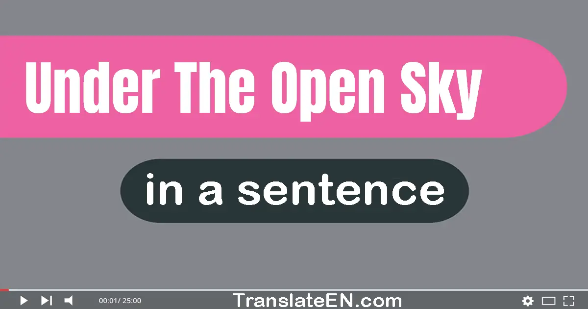 Under The Open Sky in a sentence