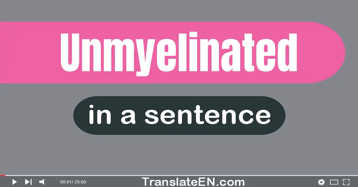 Unmyelinated in a sentence