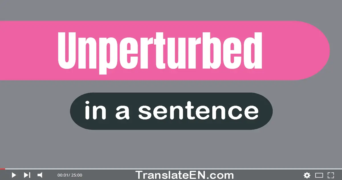 Unperturbed in a sentence