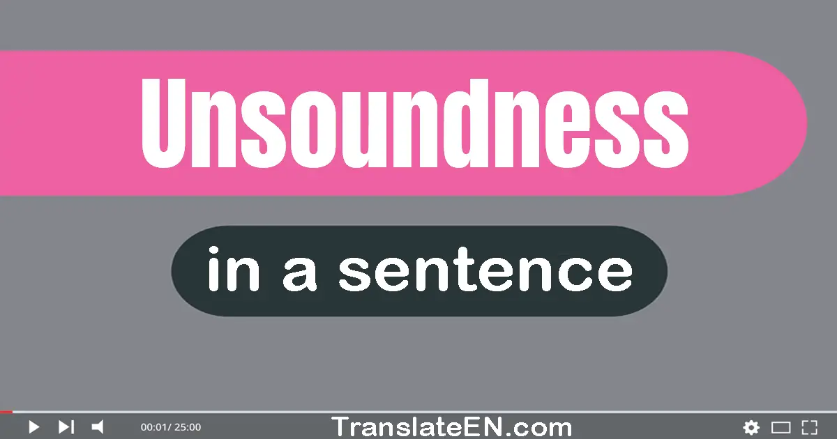 Unsoundness in a sentence