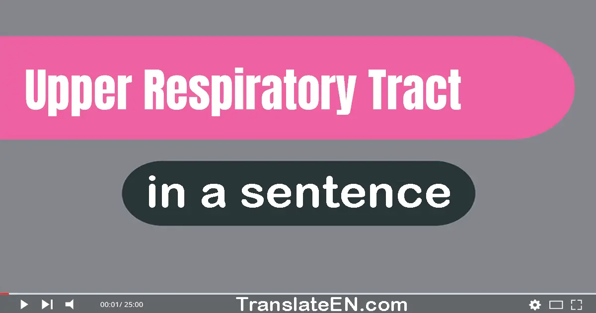 Use "upper respiratory tract" in a sentence | "upper respiratory tract" sentence examples