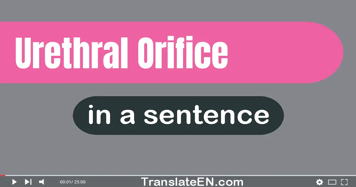 Urethral Orifice in a sentence