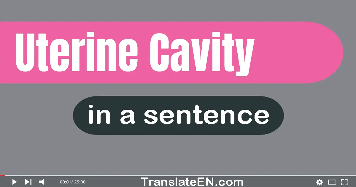 Uterine Cavity in a sentence