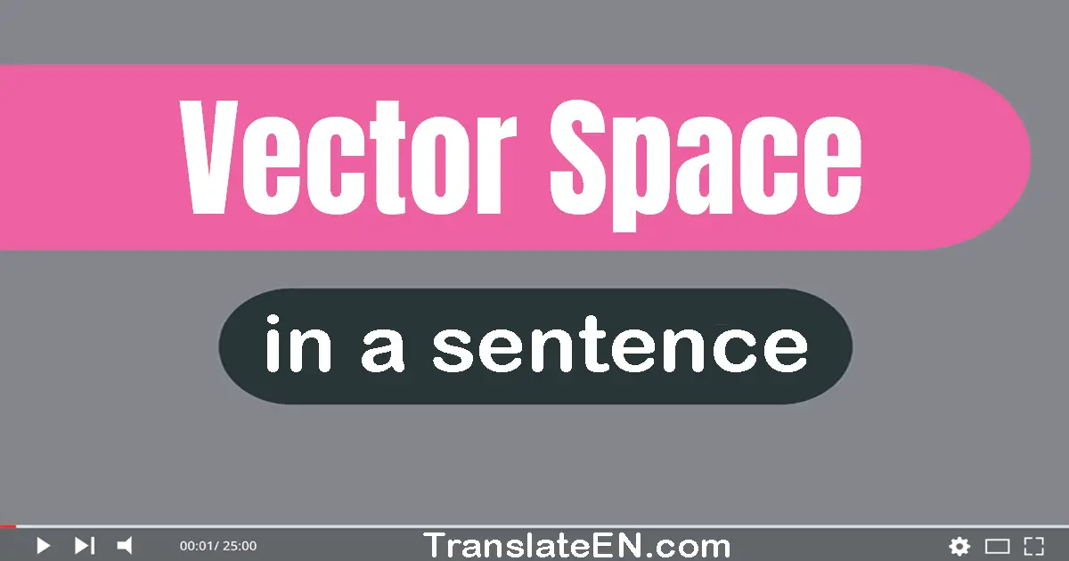 Vector Space in a sentence