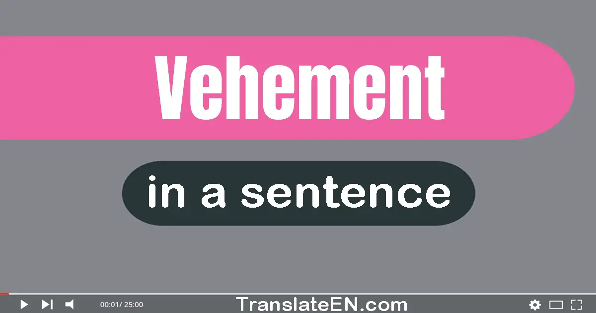 Use "vehement" in a sentence | "vehement" sentence examples