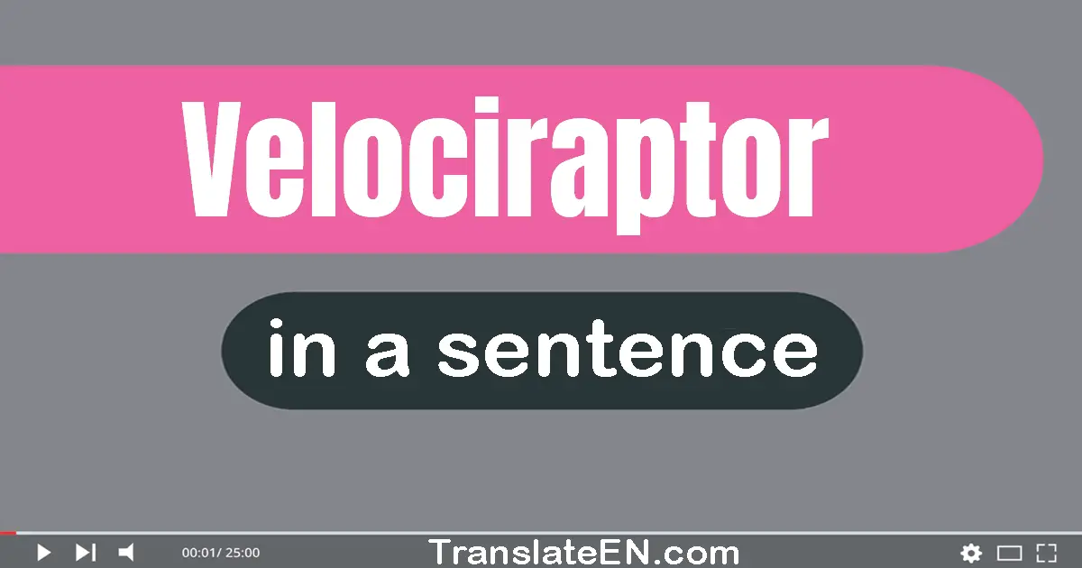 Use "velociraptor" in a sentence | "velociraptor" sentence examples