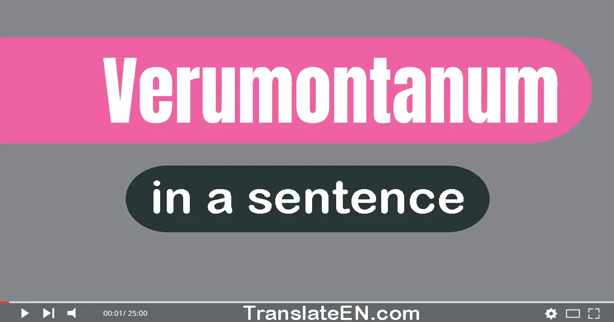 Verumontanum in a sentence