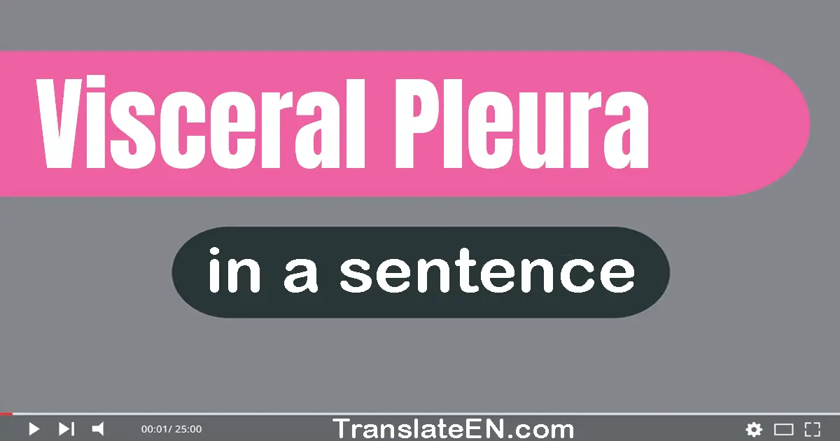 Visceral Pleura in a sentence