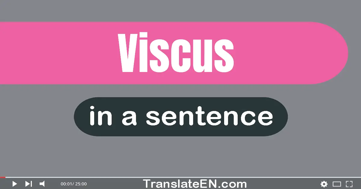 Use "viscus" in a sentence | "viscus" sentence examples