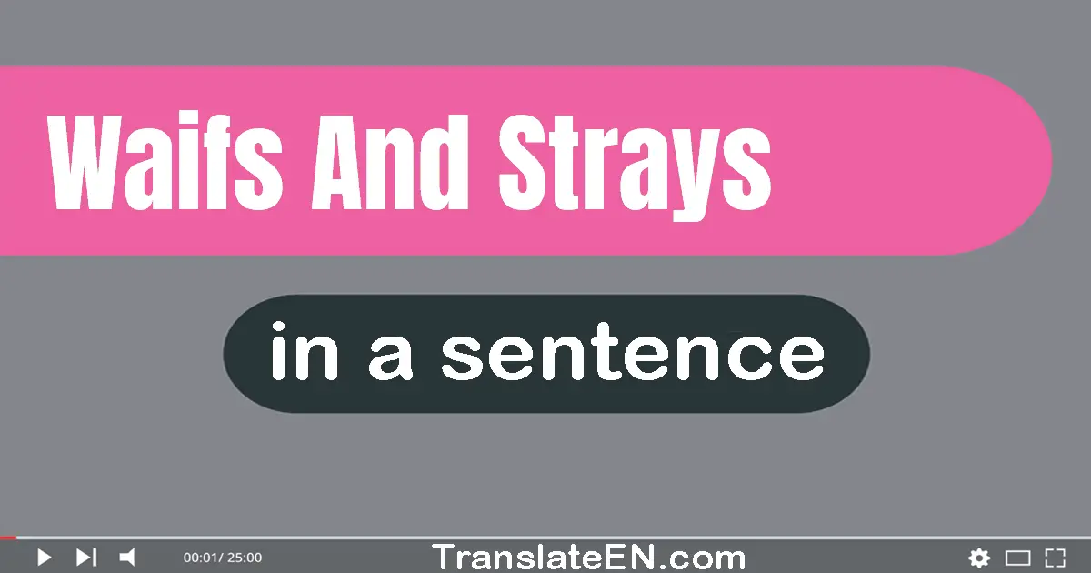 Use "waifs and strays" in a sentence | "waifs and strays" sentence examples