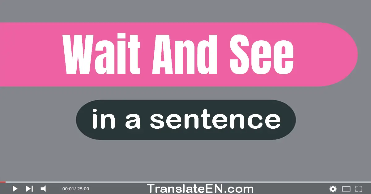 Use "wait and see" in a sentence | "wait and see" sentence examples