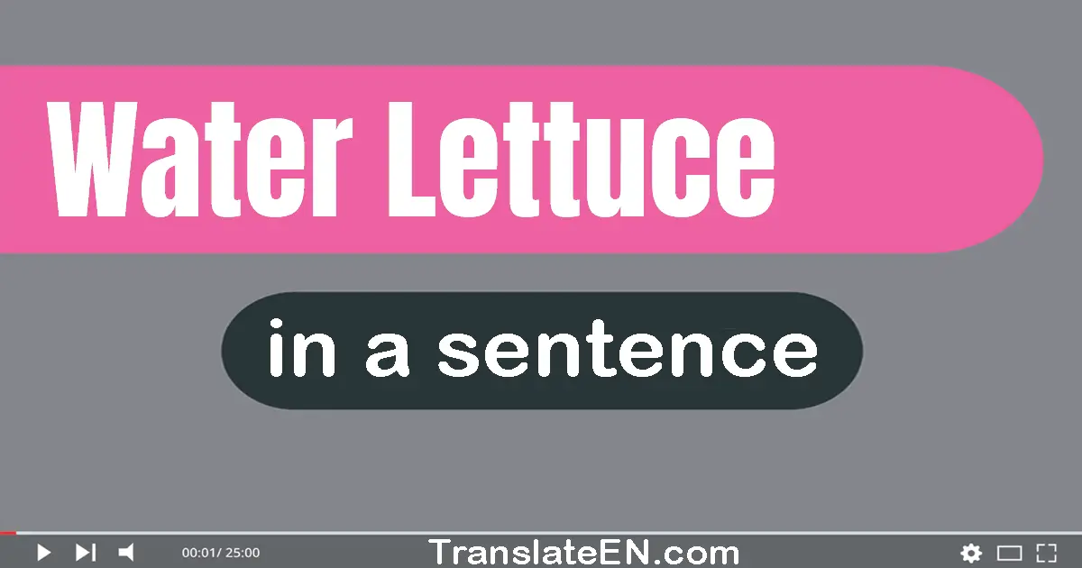 Water Lettuce in a sentence