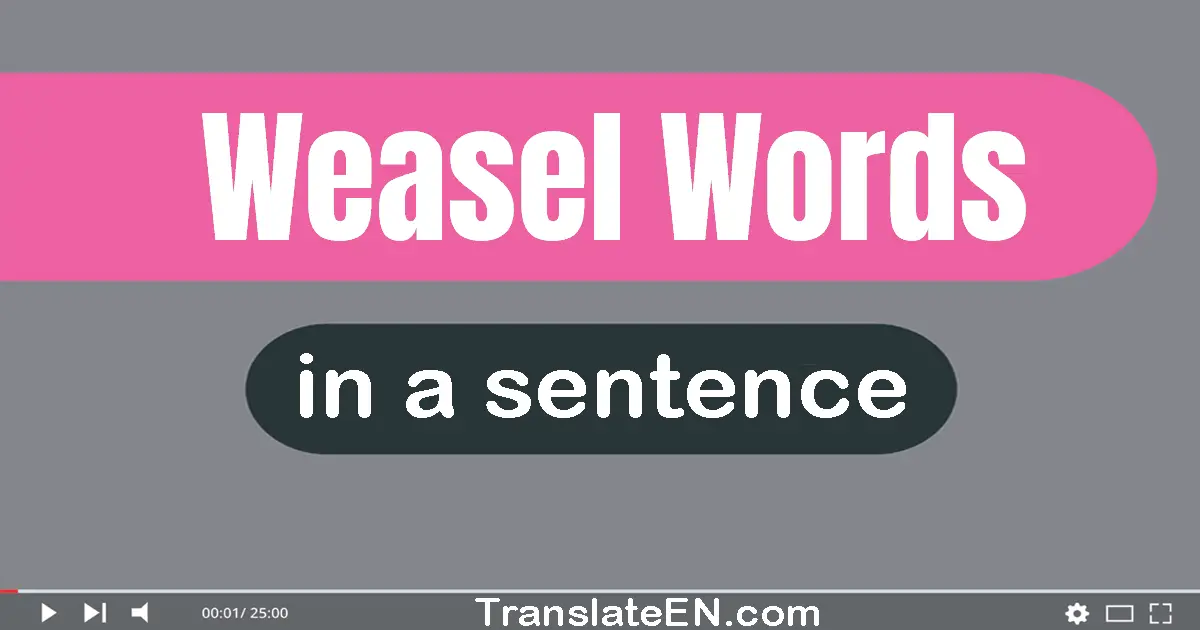 Weasel Words in a sentence