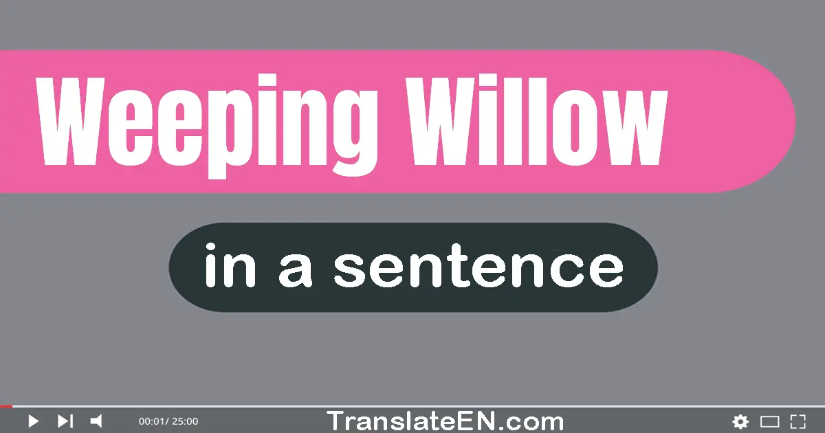 Weeping Willow in a sentence