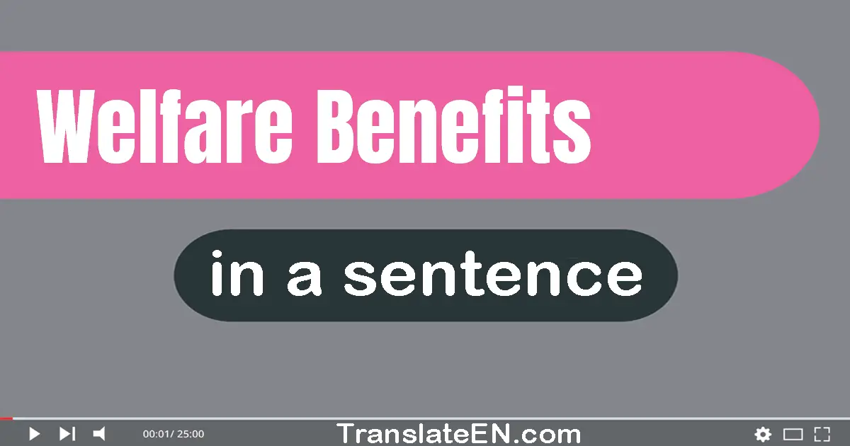 Use "welfare benefits" in a sentence | "welfare benefits" sentence examples