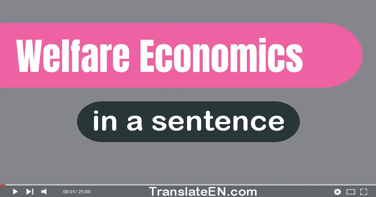 Use "welfare economics" in a sentence | "welfare economics" sentence examples