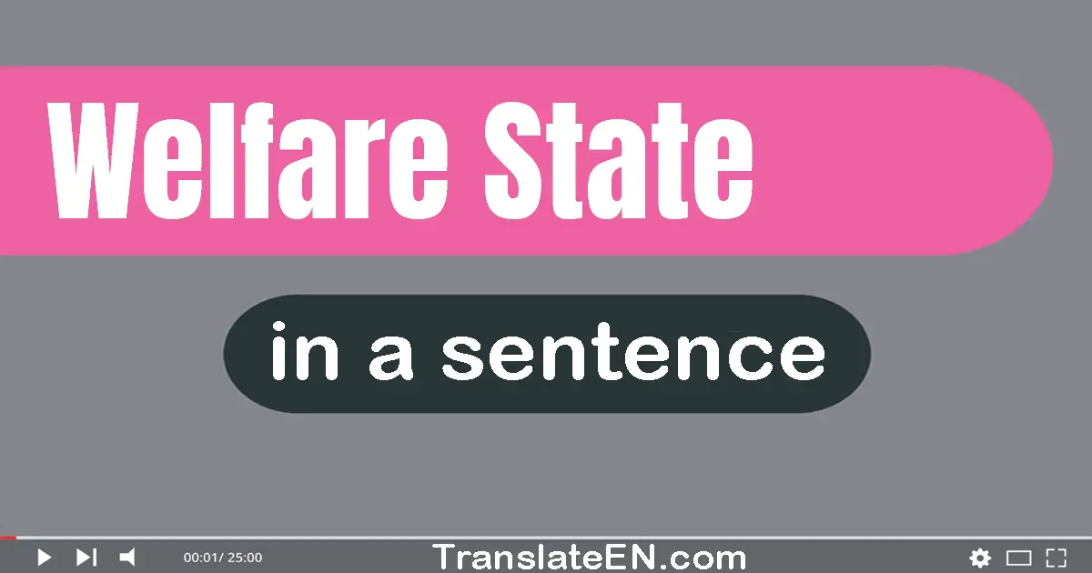Use "welfare state" in a sentence | "welfare state" sentence examples