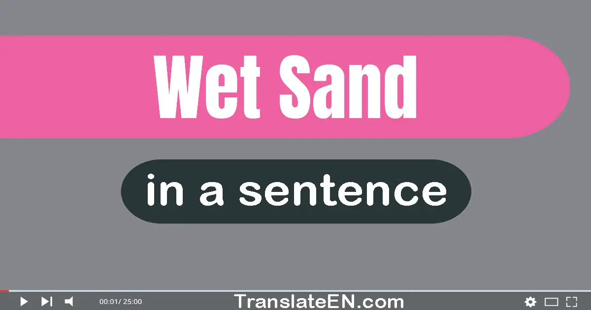 Wet Sand in a sentence