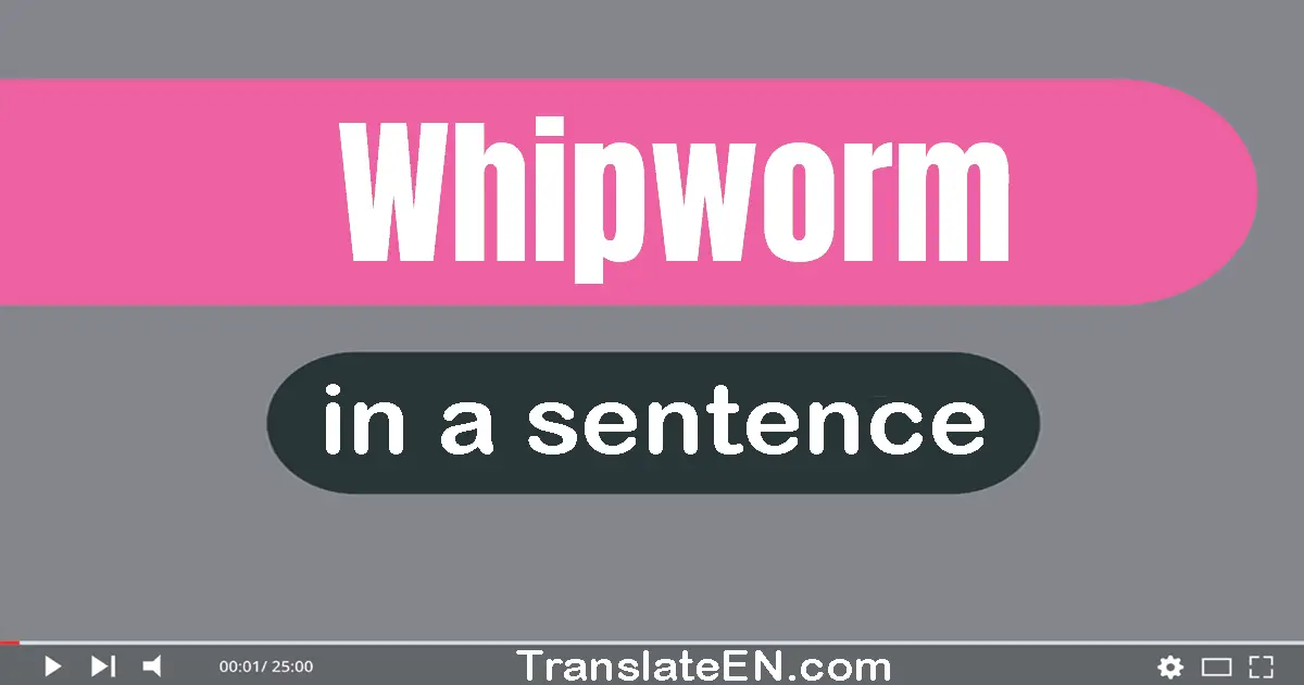 Whipworm in a sentence