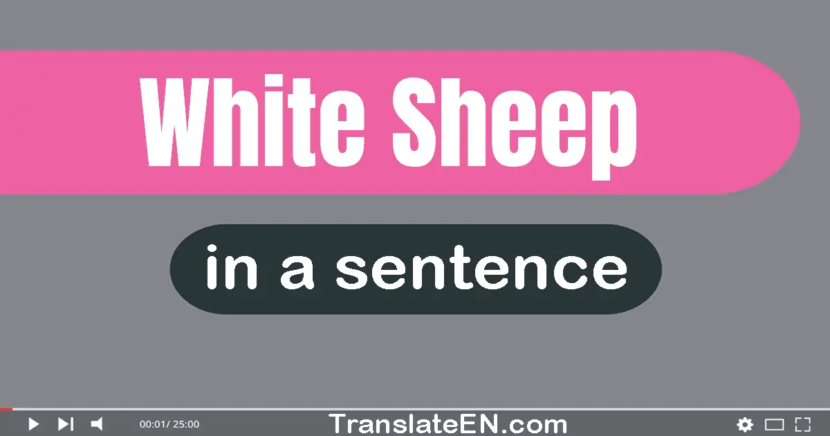 White Sheep in a sentence