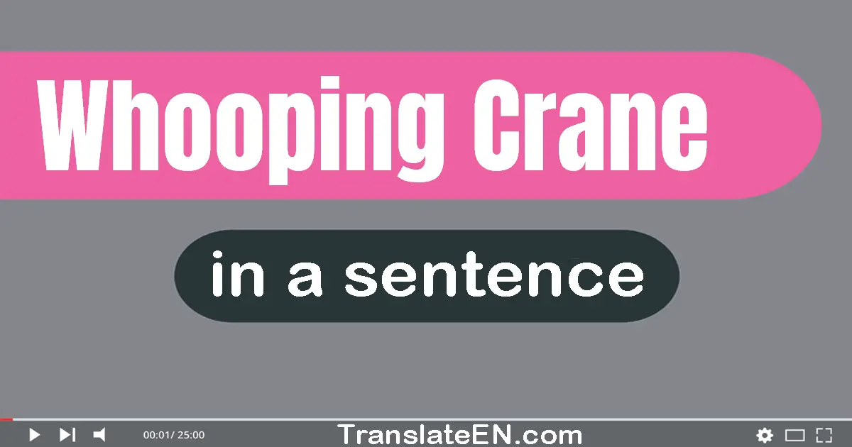 Whooping Crane in a sentence