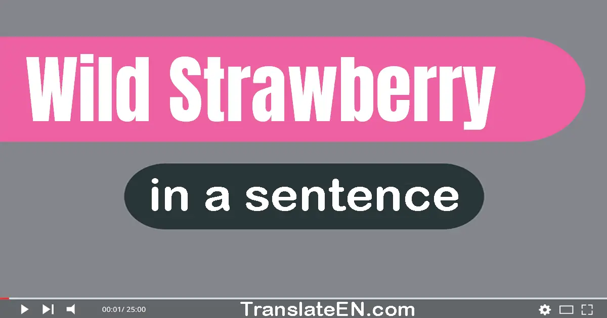 Wild Strawberry in a sentence