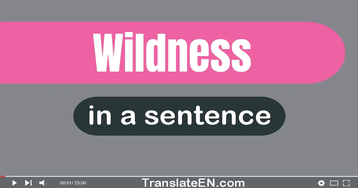 Wildness in a sentence